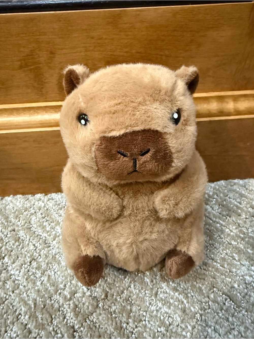 Capybara stuffed animal